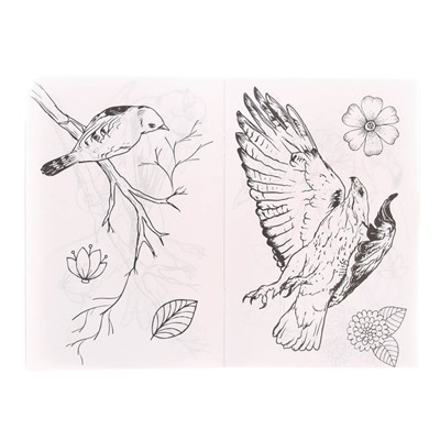 Раскраски с наклейками набор «Животные», 3 шт по 12 стр.