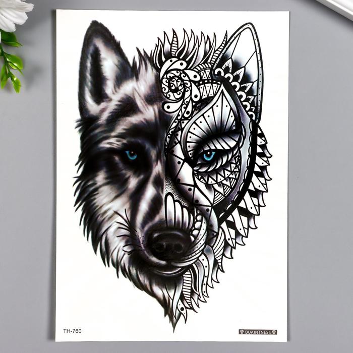 Волк с голубыми глазами обои и картинки.