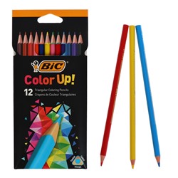 Цветные карандаши 12 цветов, для подростков и взрослых, трёхгранные, BIC Color Up, МИКС