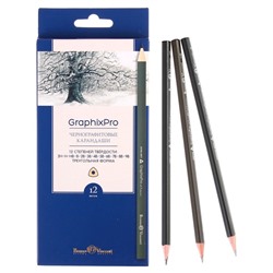 Набор карандашей чернографитных 3 мм разной твердости Graphixpro 12 штук, 2H-9B, трехгранные, в картонной коробке