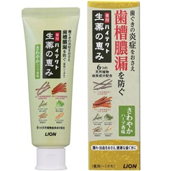 Зубная паста "Hitect Seiyaku" для профилактики болезней десен и кариеса с ароматом свежих трав (коробка) 90 г